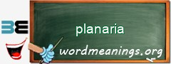 WordMeaning blackboard for planaria